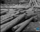 Theme keyframe