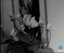 Theme keyframe