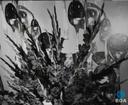 Theme keyframe