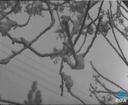 Theme keyframe