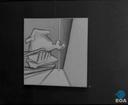 Theme keyframe