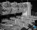 Theme keyframe