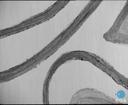 Theme keyframe