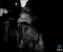 Theme keyframe
