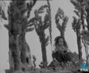 Theme keyframe
