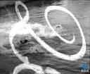 Theme keyframe