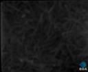 Theme keyframe