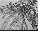 Theme keyframe