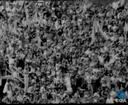 Theme keyframe