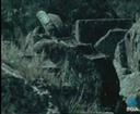 Theme keyframe