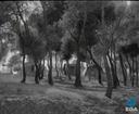 Theme keyframe