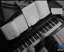 Theme keyframe