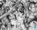 Theme keyframe