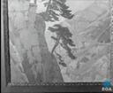 Theme keyframe