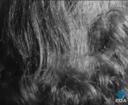 Theme keyframe