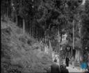 Theme keyframe