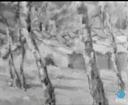 Theme keyframe