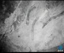 Theme keyframe