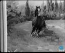 Theme keyframe