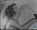 Theme keyframe