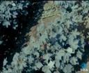 Theme keyframe